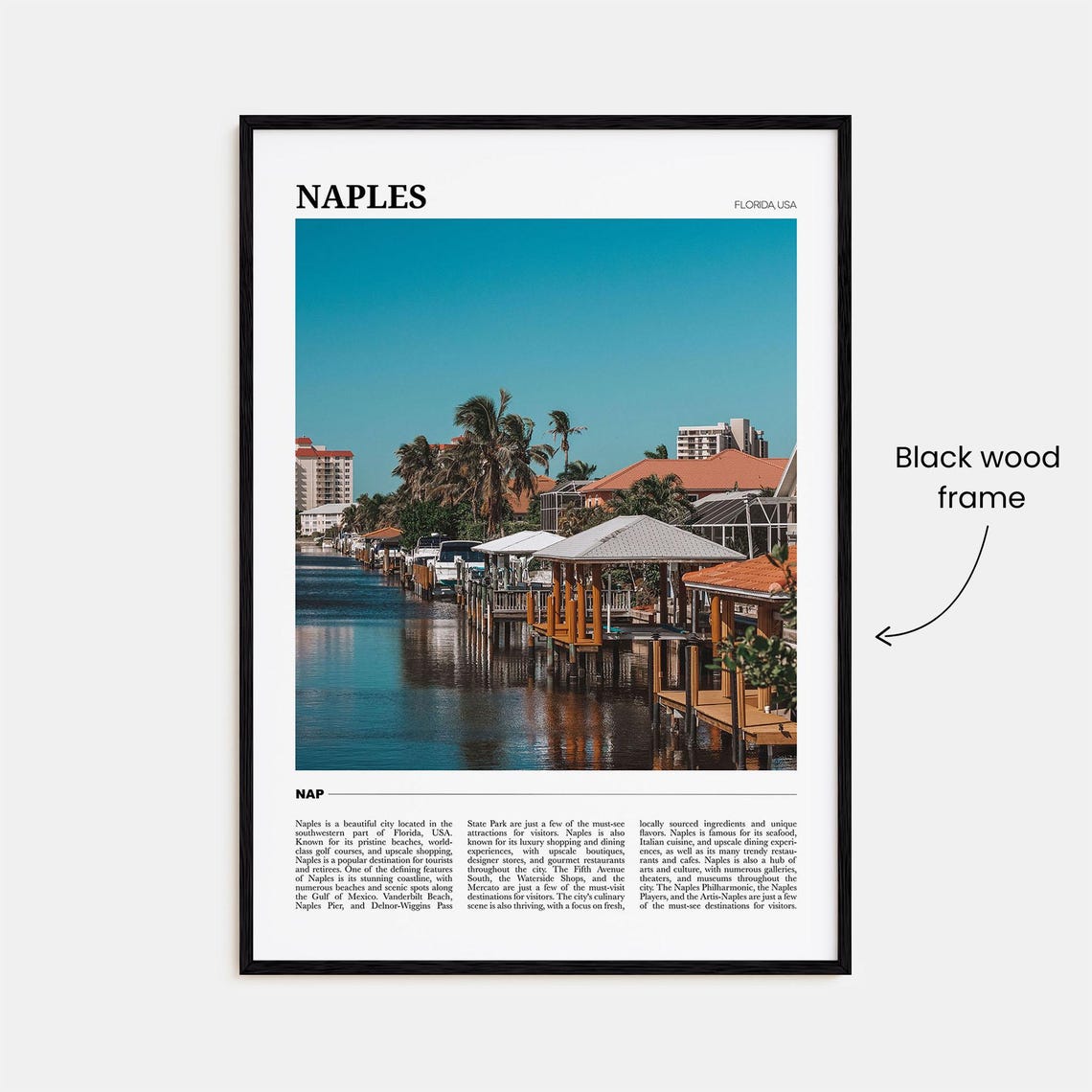 Naples Florida USA Marina Sailboats Palm Trees Waterfront Photo Poster - Image 2