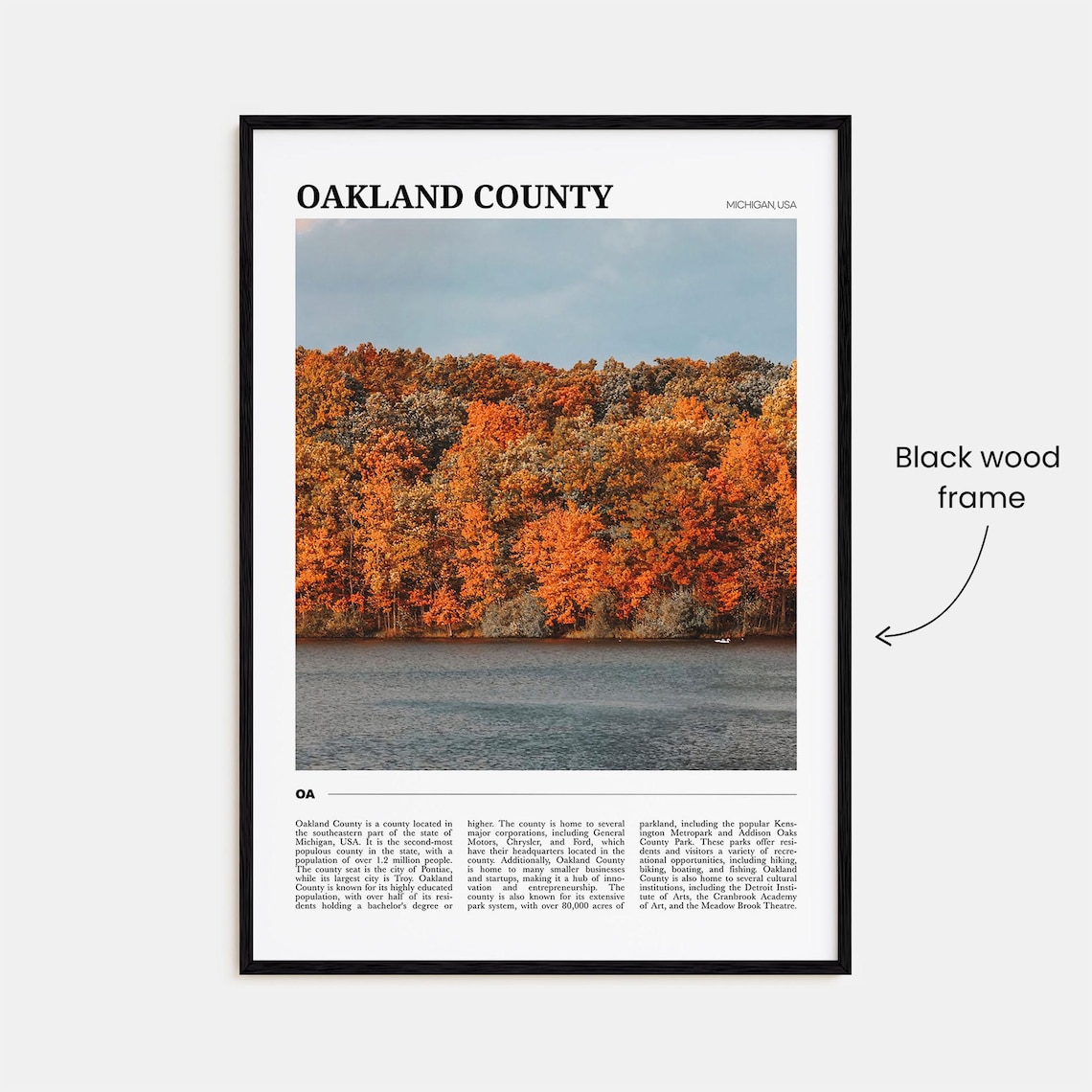 Oakland County Travel Poster Oakland County Wall Art Oakland County Poster Print Oakland County Photo Oakland County Decor Usa - Image 2