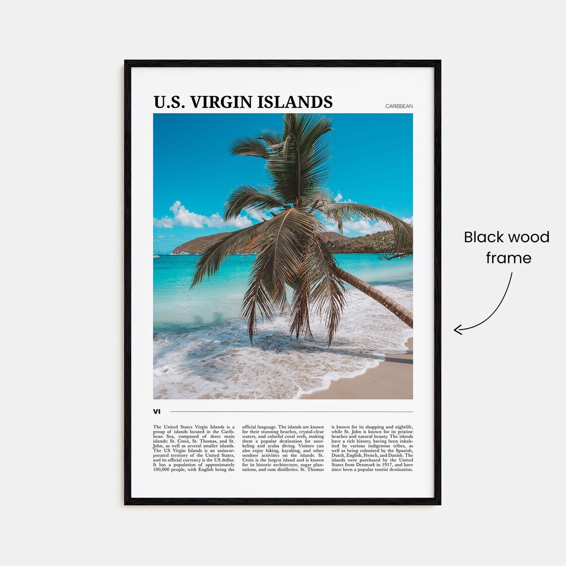 U.S. Virgin Islands Caribbean Palm Beach Photo Editorial Travel Poster - Image 2