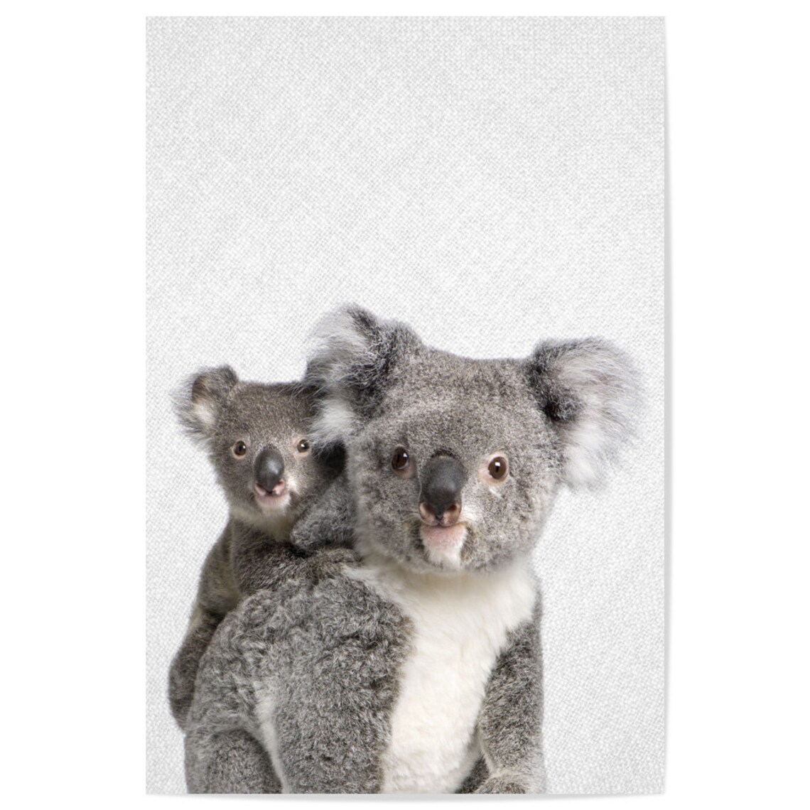 Koala Bear Print, Black and White Nursery Poster - Image 2