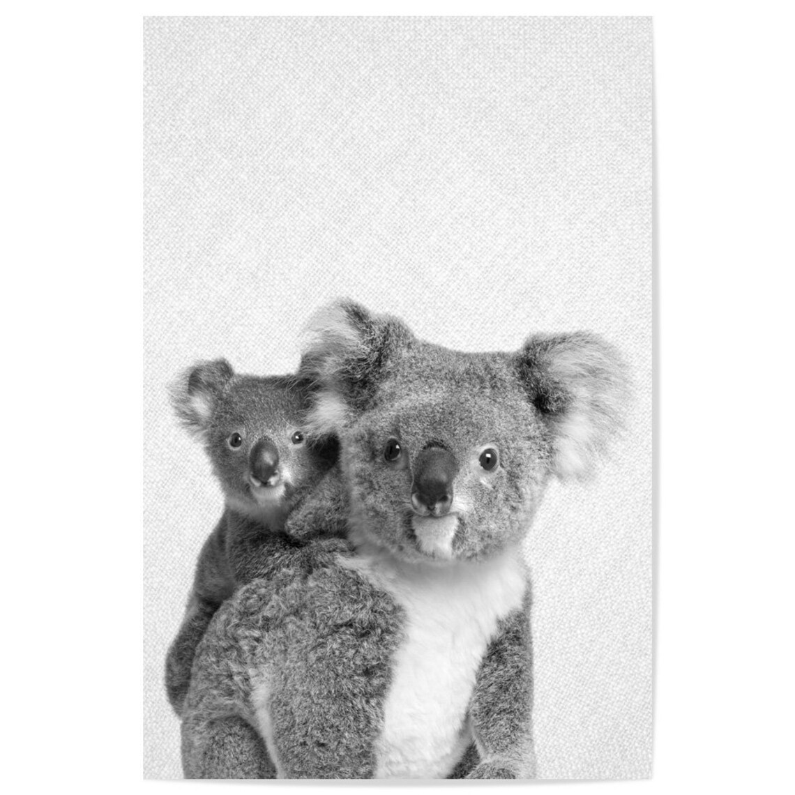 Koala Mother And Joey Black And White Cute Animal Portrait Poster - Image 2