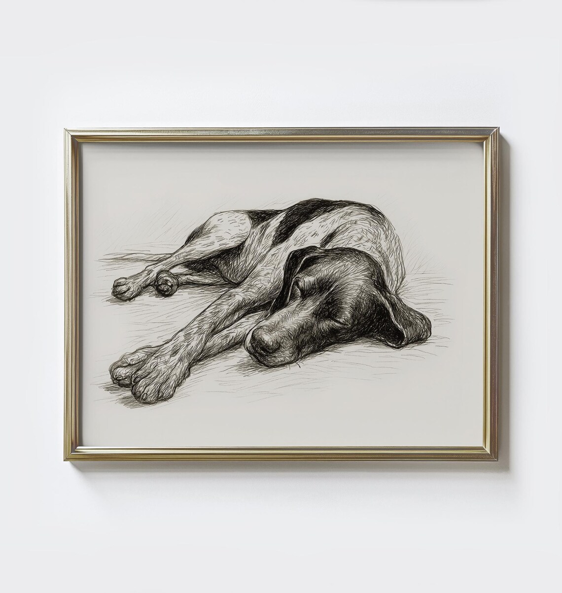 German Shorthaired Pointer Vintage Dog Portrait Art Print