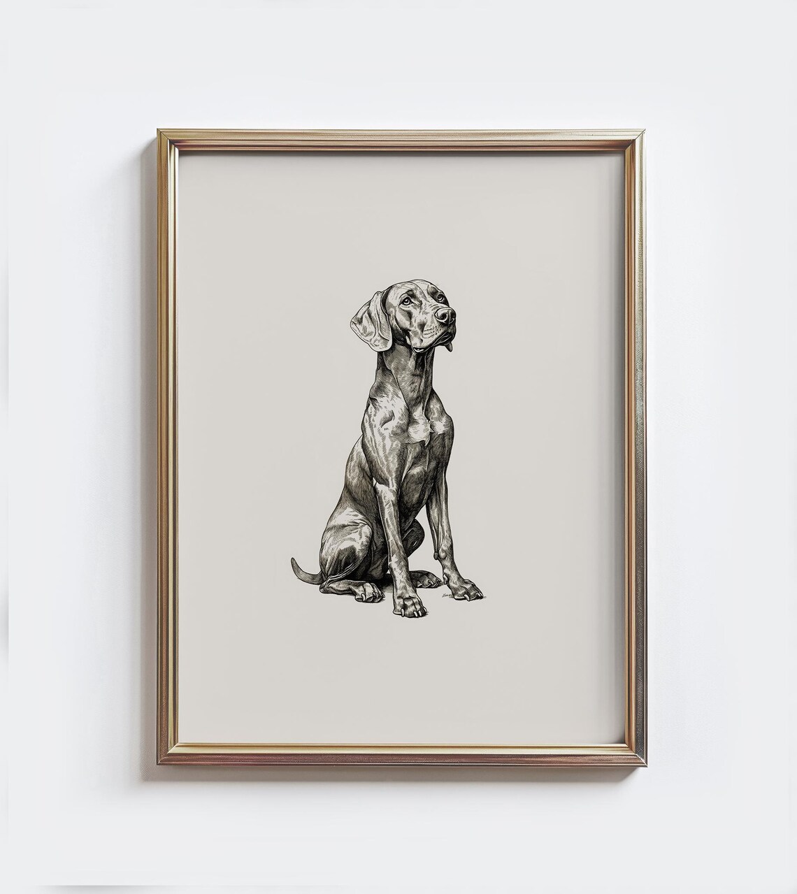 Vizsla Sketch Print, Vintage Farmhouse Dog Art