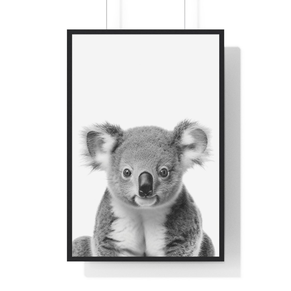Adorable Baby Koala Portrait in Black and White Nursery Style Poster - Image 2