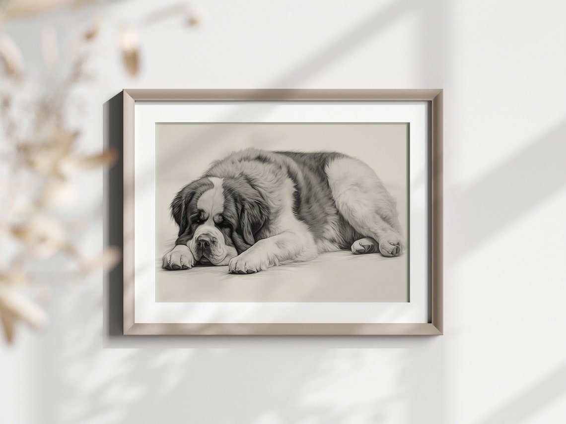 Saint Bernard Puppy Sleeping Soft Pencil Sketch Minimalist Art Print