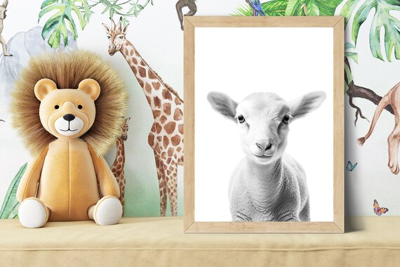 Sweet Baby Lamb Face Portrait in Black and White Nursery Poster