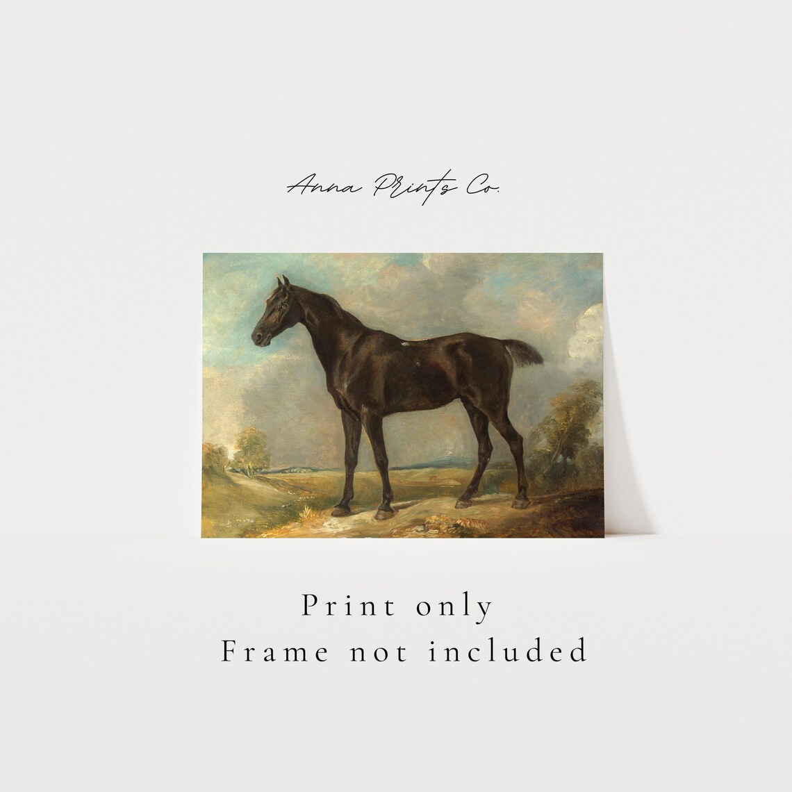 Vintage Black Riding Horse, Equestrian Art Print - Image 3
