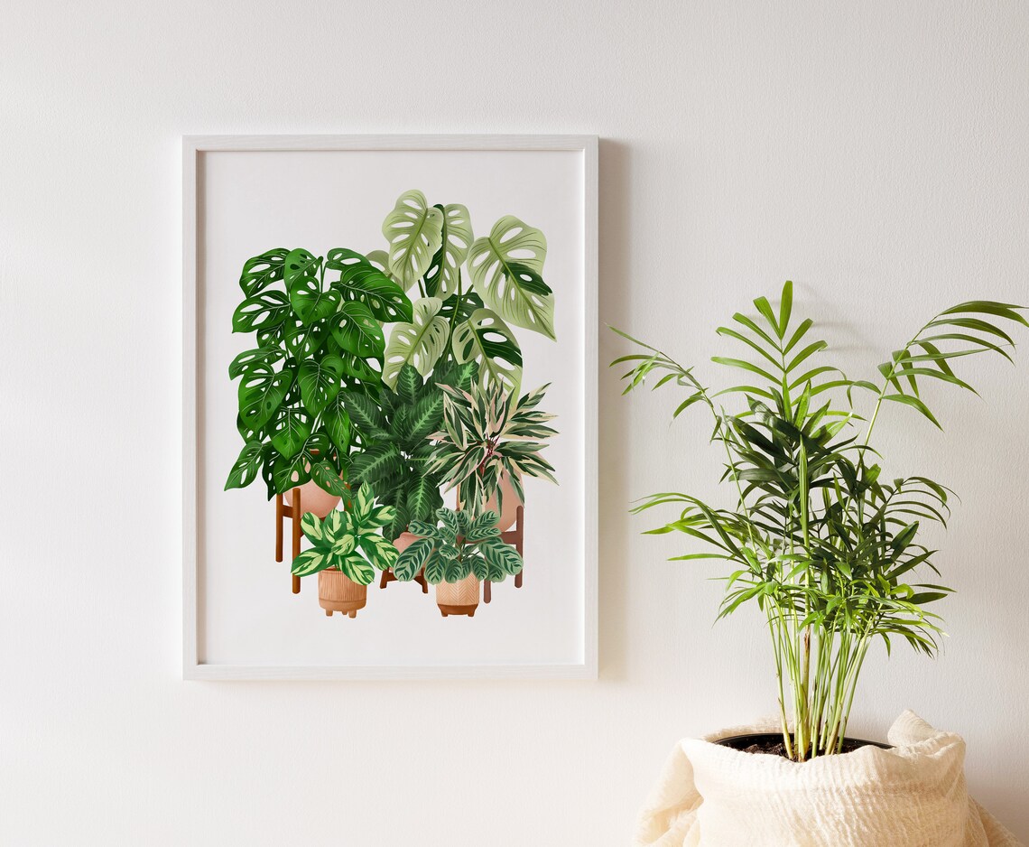 Monstera And Calathea In Terracotta Pots Poster Botanical Collection - Image 2