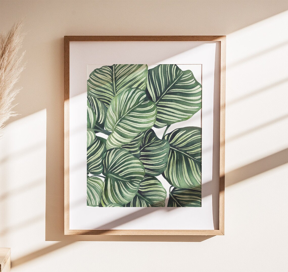 Calathea Orbifolia Leaves Watercolor Close Up Botanical Poster