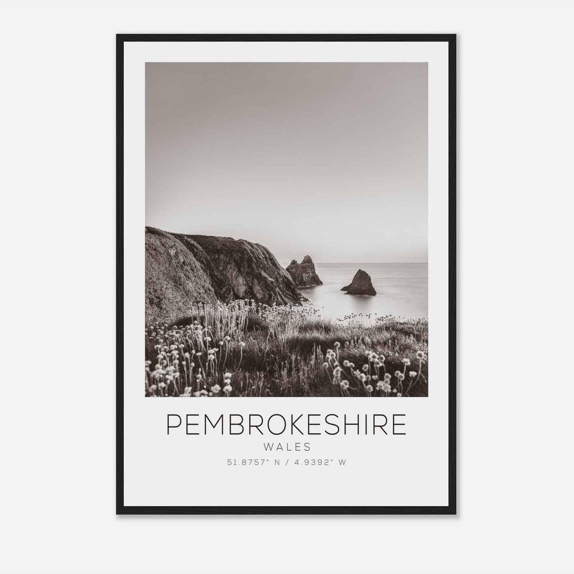 Pembrokeshire Wales Wild Coastal Cliffs Black White Photo Poster