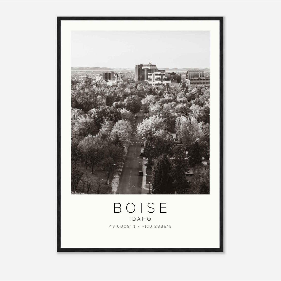 Boise Idaho Tree Lined Avenue Leading to Downtown Skyline Poster