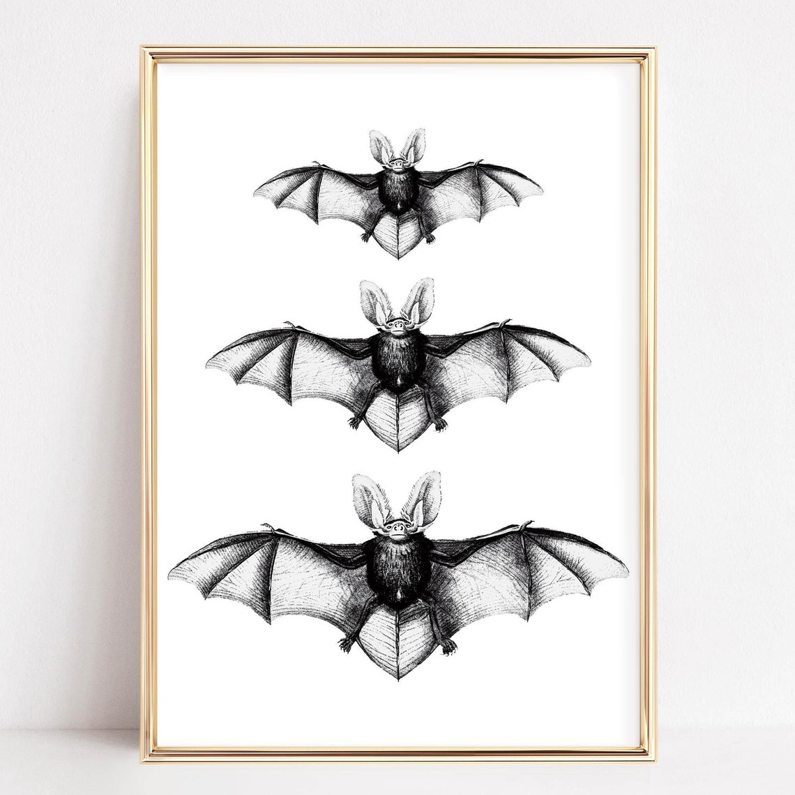 Three Bats Vintage Naturalist Illustration Halloween Spooky Poster