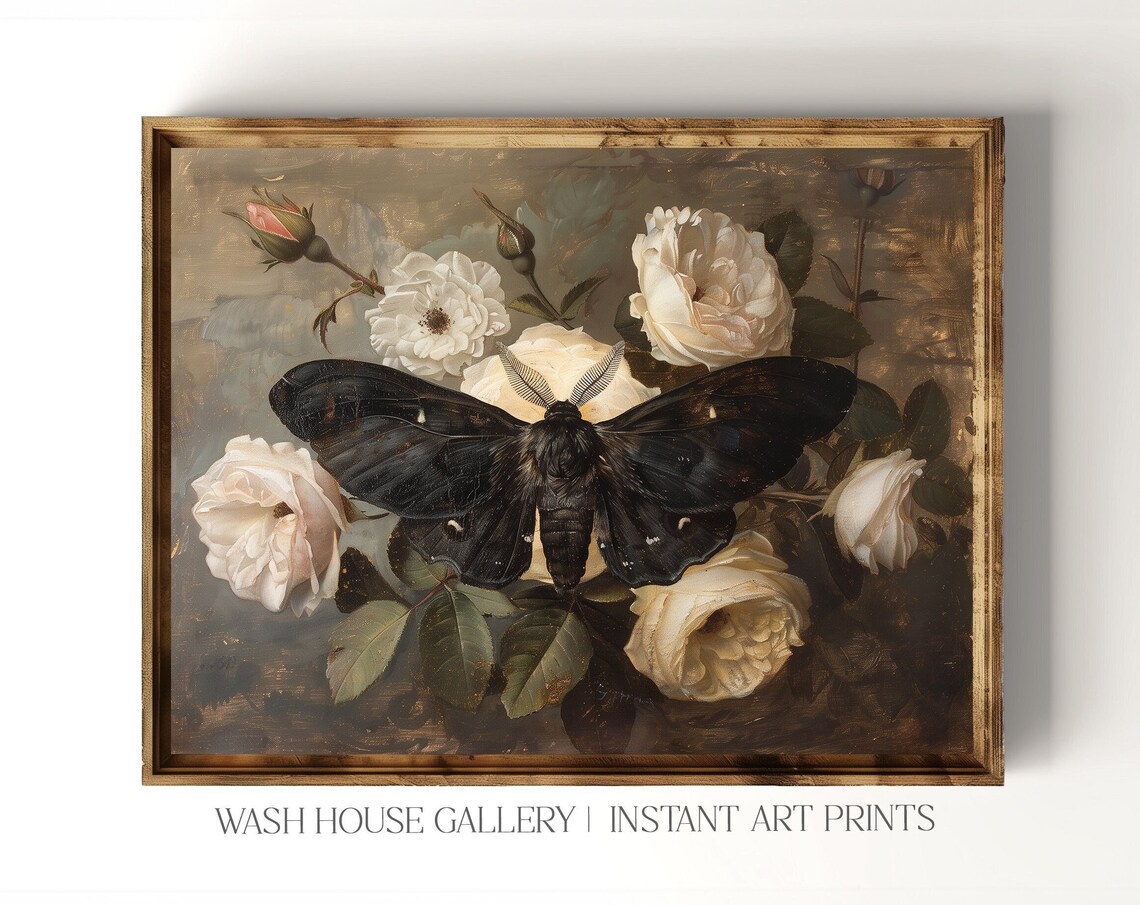 Black Moth Among White Roses Vintage Botanical Still Life Poster - Image 3