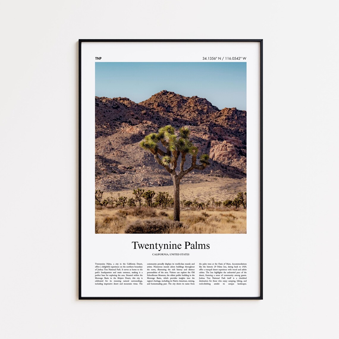 Twentynine Palms California Joshua Tree Desert Photo Travel Poster