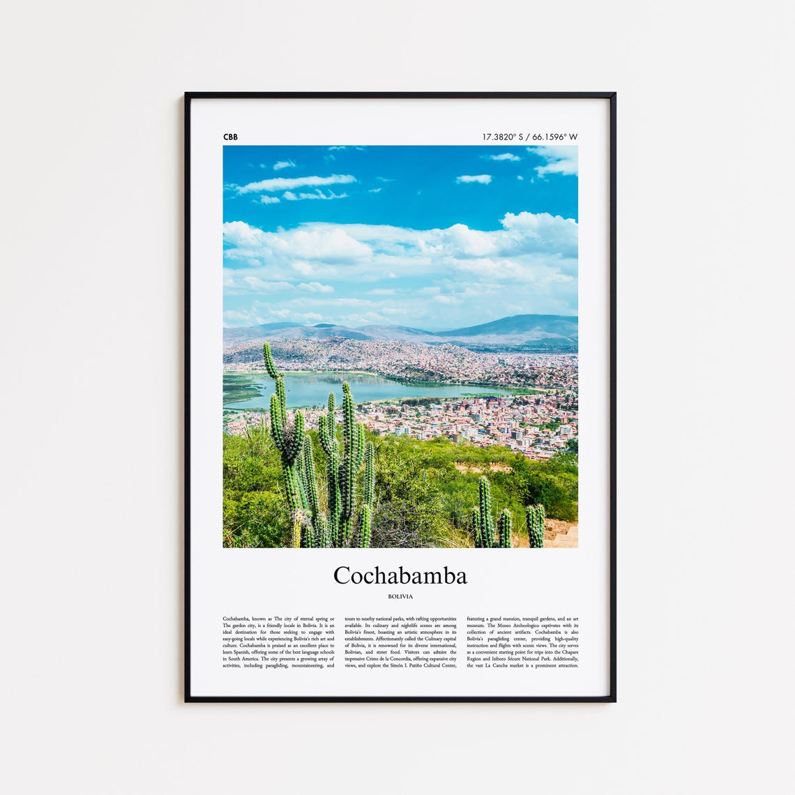 Cochabamba Bolivia Cactus Hillside City View Real Photo Poster