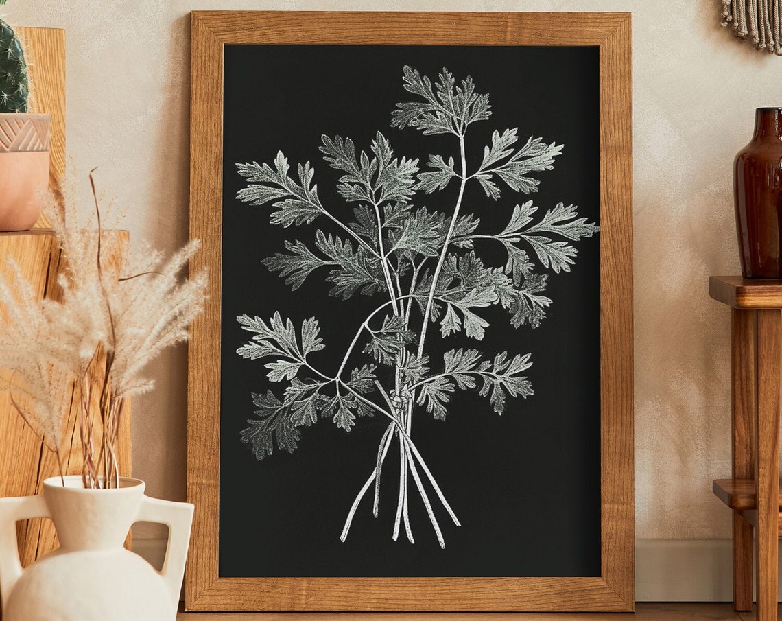 Cilantro Herb Botanical Sketch on Black Minimalist Kitchen Wall Poster