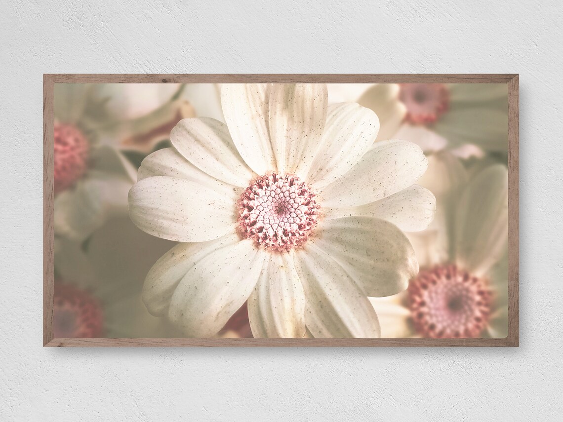 Flower Pop Orchids Art Print, Botanical Floral