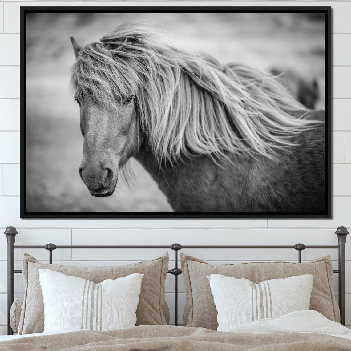 Icelandic Horse Black White Portrait Flowing Mane Equine Photo Poster