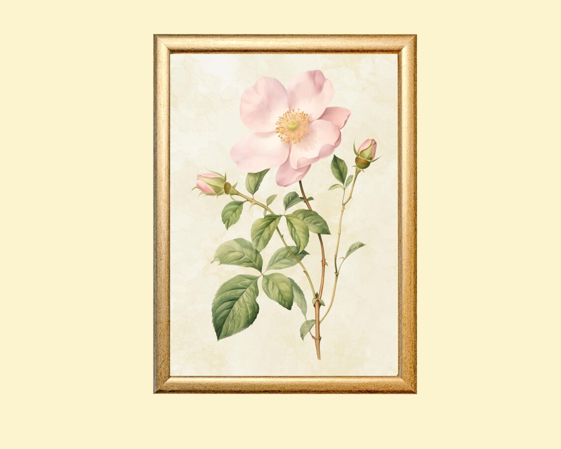 Vintage Rose Print, Farmhouse Floral Decor