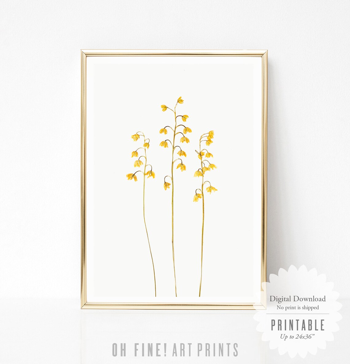 Yellow Pressed Flower, Rustic Botanical Art Print - Image 2