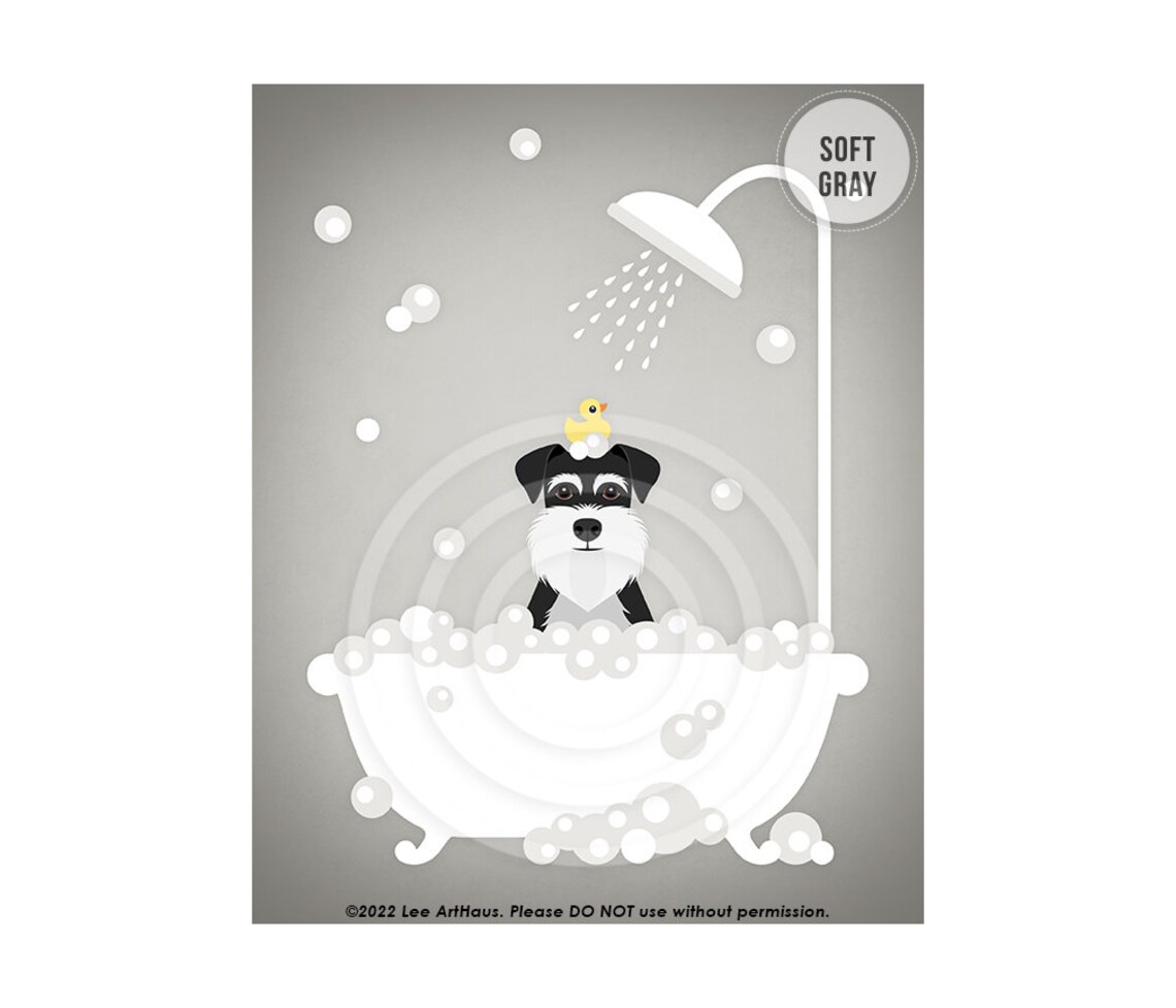 Black And Silver Schnauzer In Shower Bath With Rubber Duck Poster - Image 3