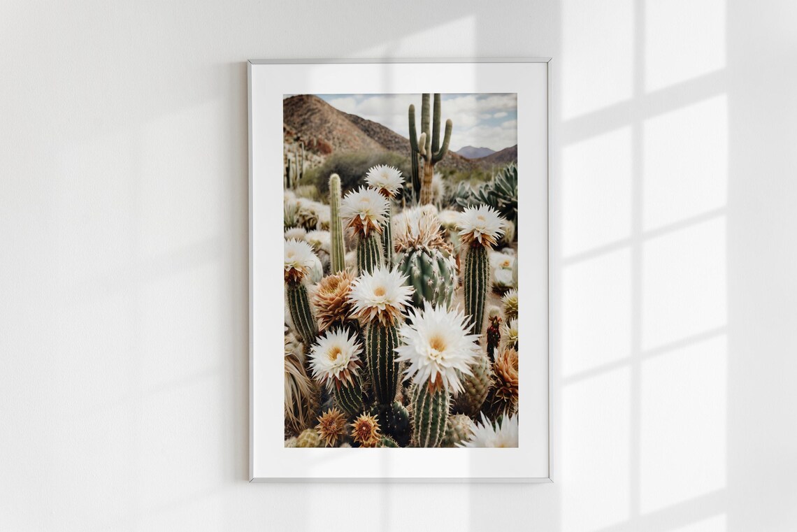 Blooming Cactus Flowers White Blossoms Desert Saguaro Photo Poster - Image 6