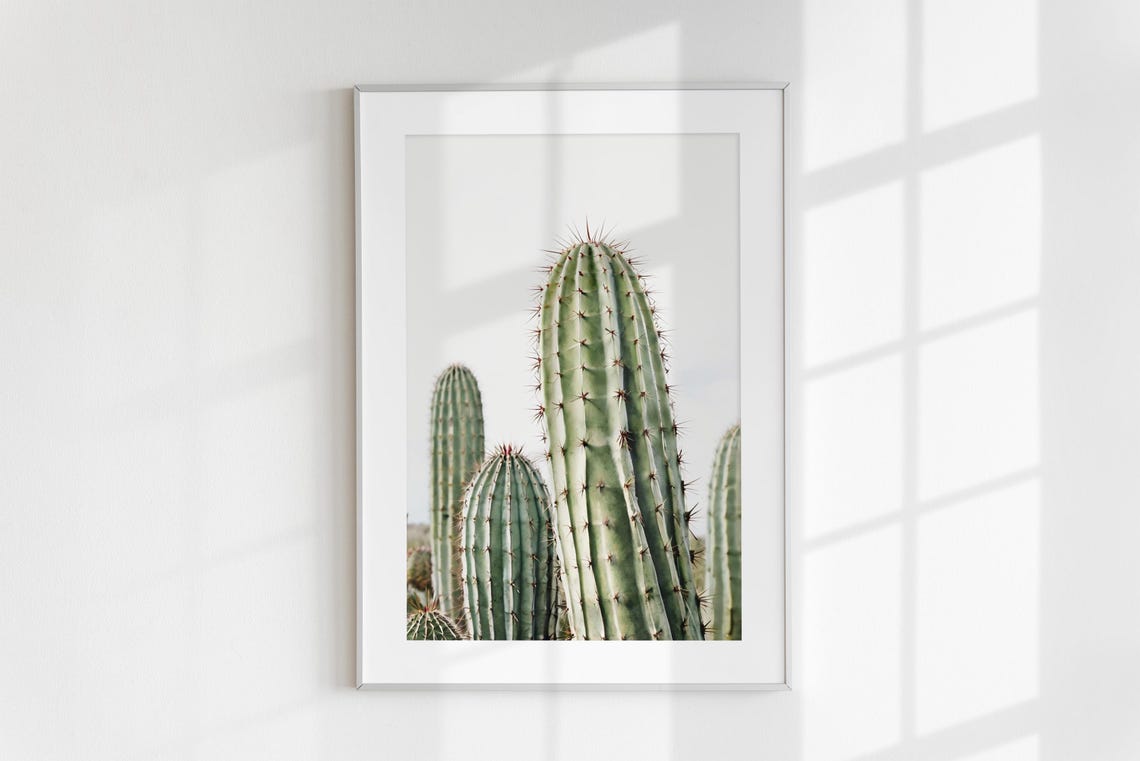Tall Columnar Cactus Green Spines Minimalist Desert Photo Poster - Image 6