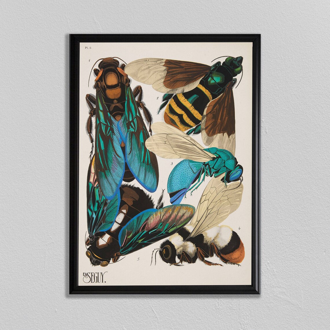 Bumble Bee and Butterfly Insect Art Print