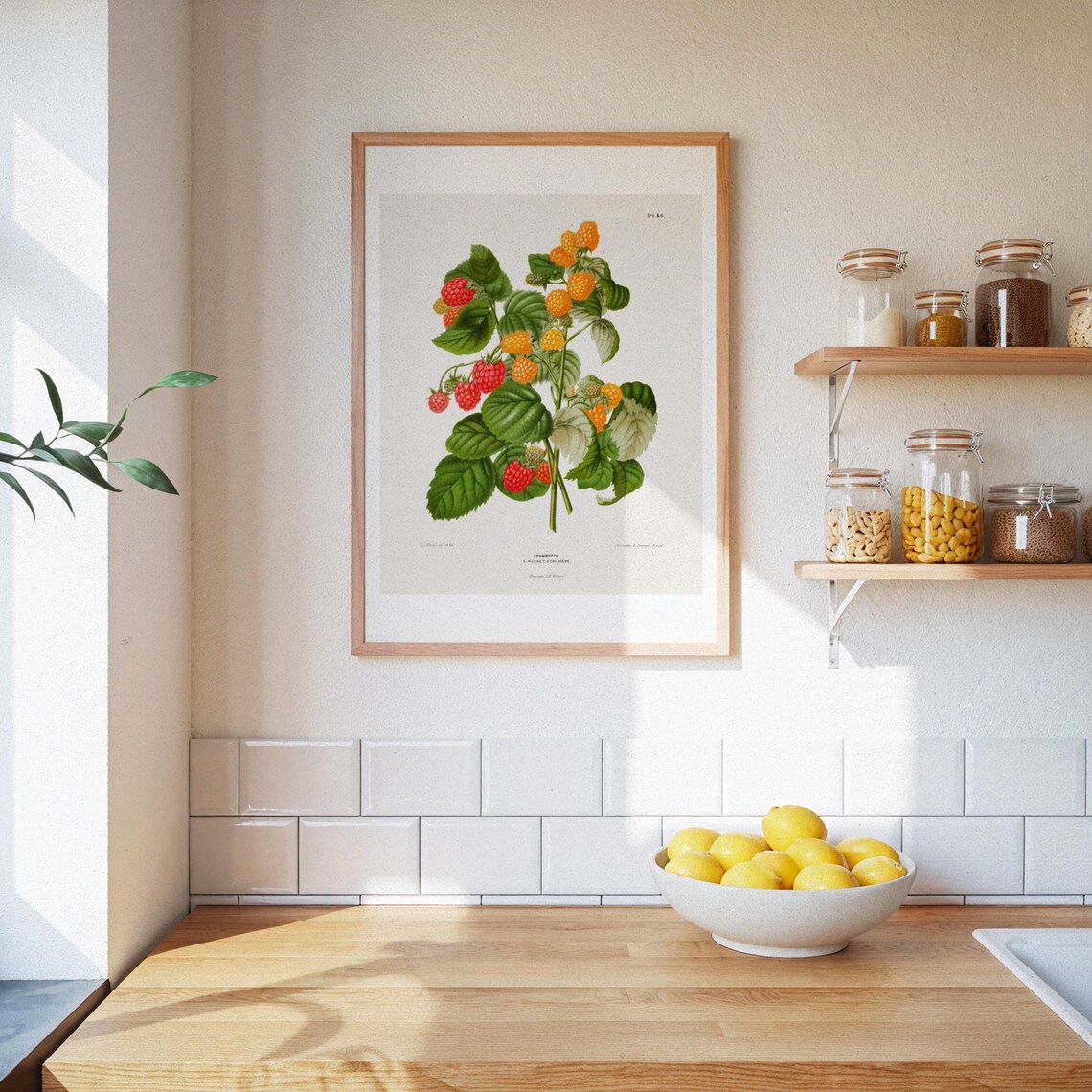 Raspberry Plant, Vintage Fruit Art Print - Image 3
