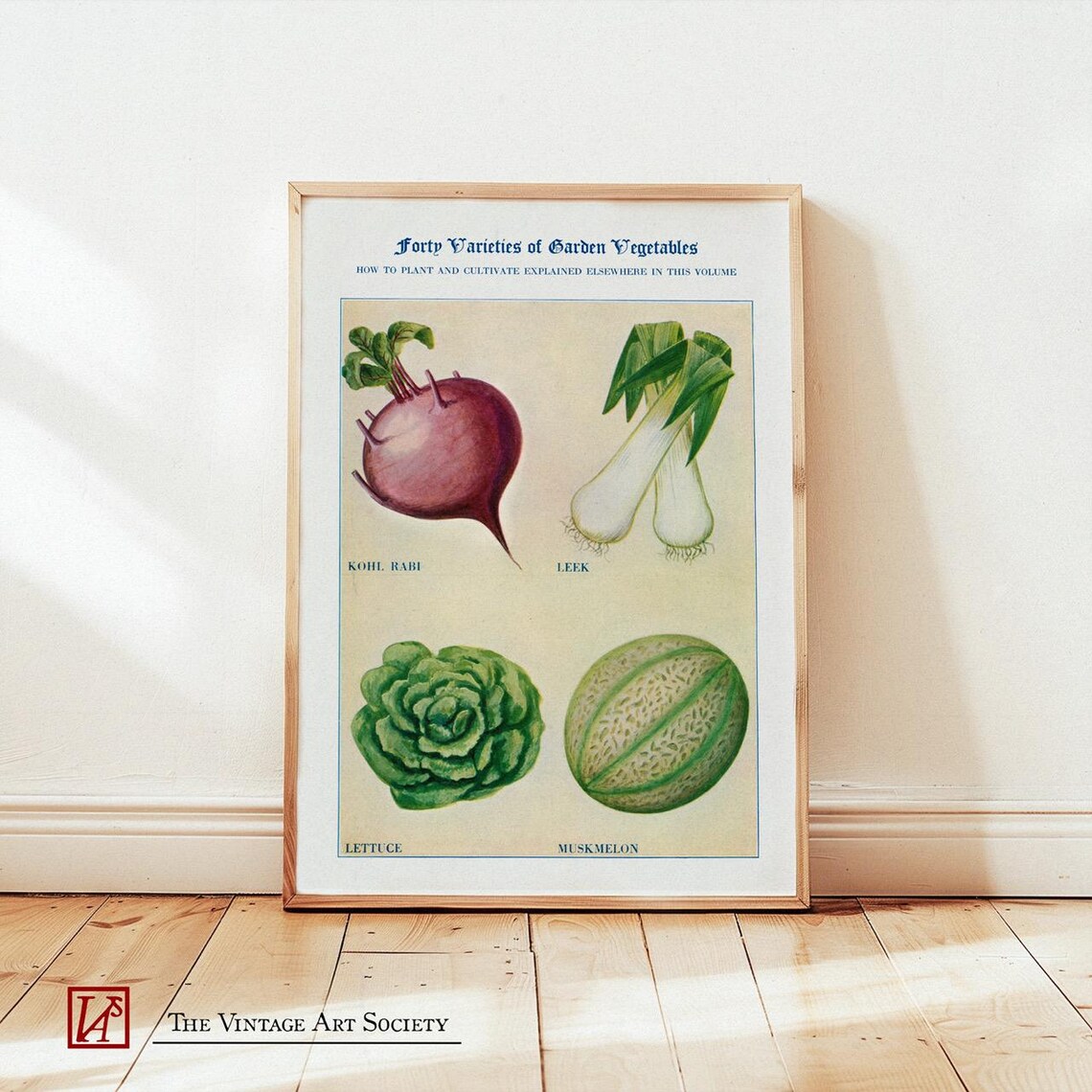 Antique Vegetable Botanical Art Print, Kitchen Decor