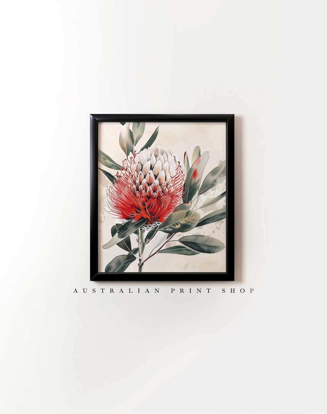 Australian Banksia Painting, Native Flowers Illustration