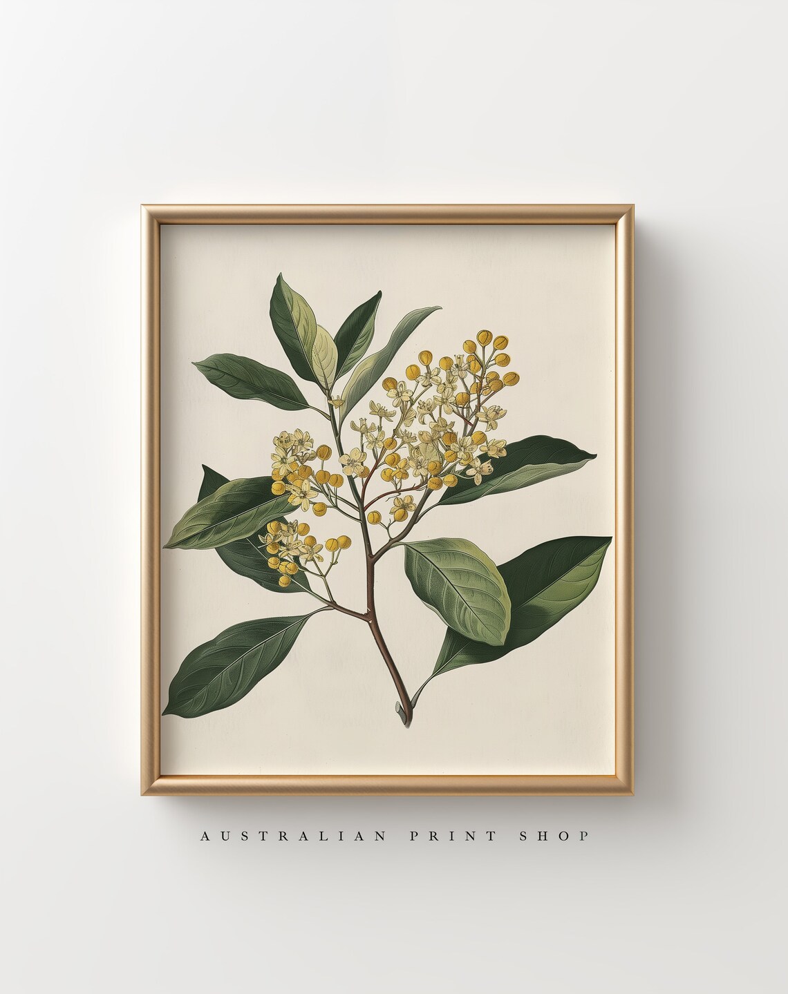 Vintage Yellow Flower Botanical Still Life Art Print