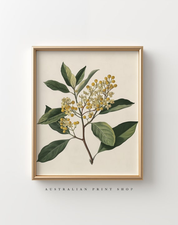 Vintage Yellow Flower Botanical Still Life Art Print