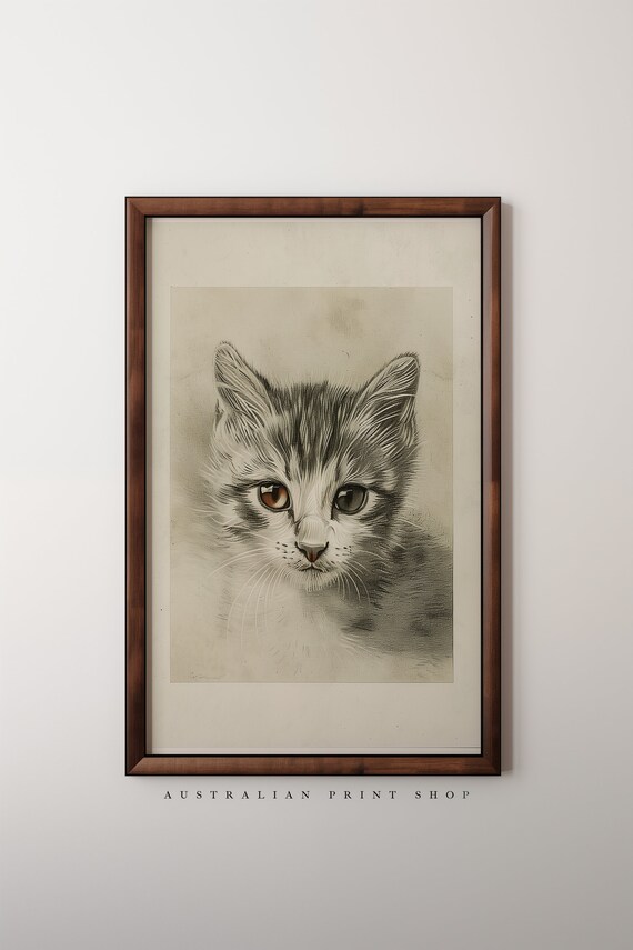 Wide Eyed Kitten Pencil Study With Amber Eyes Vintage Animal Wall Art