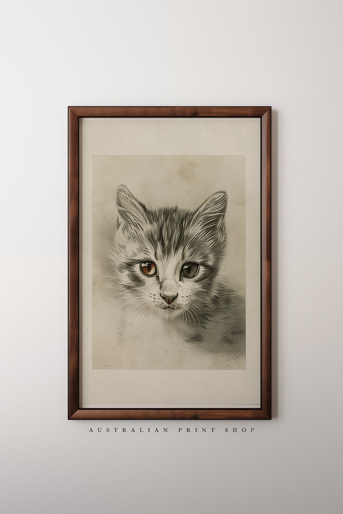 Wide Eyed Kitten Pencil Study With Amber Eyes Vintage Animal Wall Art