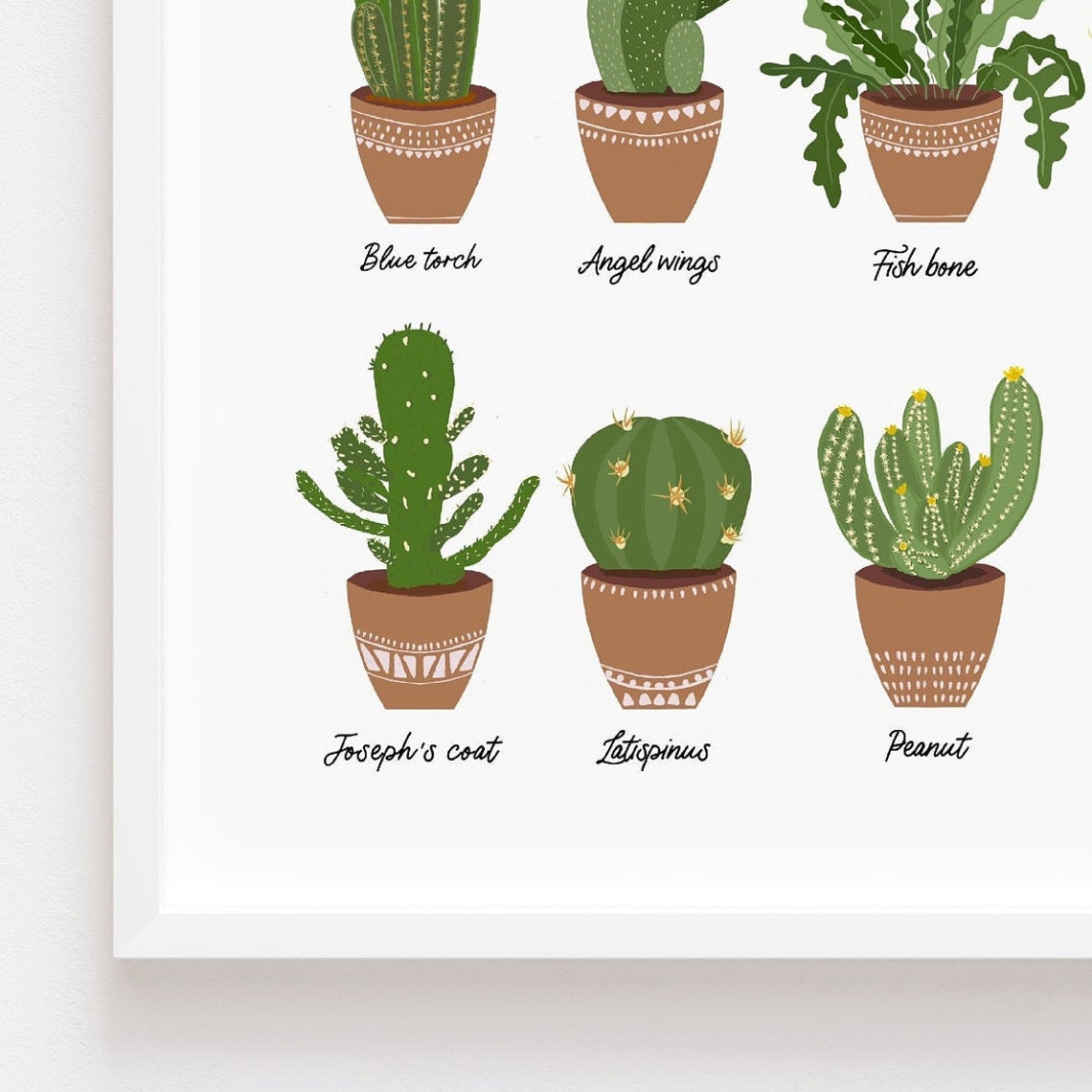 Hard to Kill Cactus Types Illustrated Botanical Chart Framed Art Print - Image 2