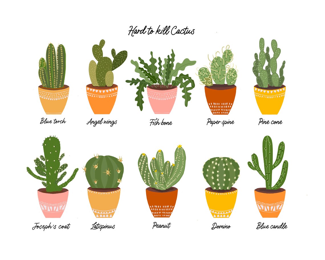 Plant Print Gifts For Her, Botanical Wall Art - Image 3