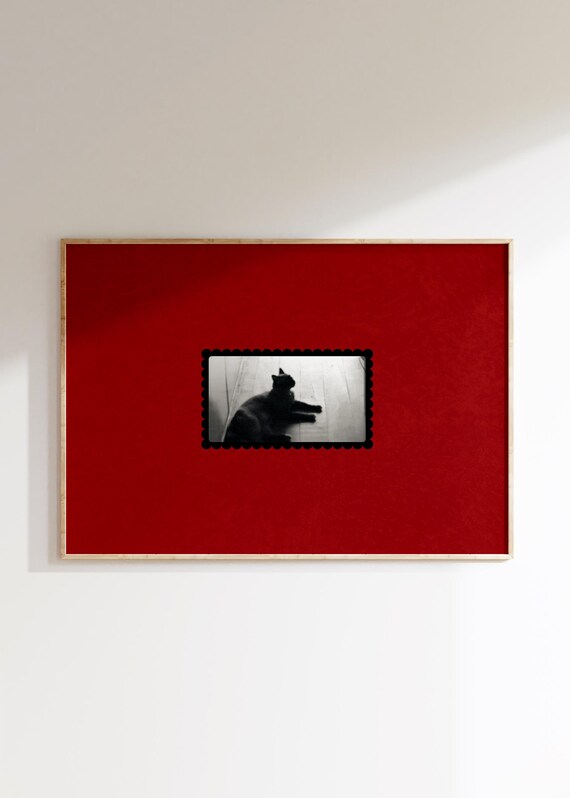 Vintage Cat Photograph Art Print Lover Decor Digital Download Horizontal