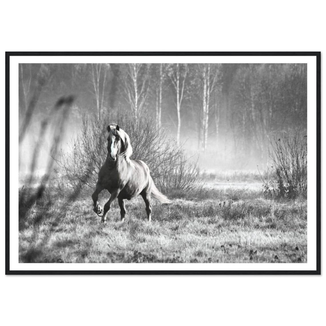 Galloping Horse Black And White Misty Forest Fine Art Photo Poster