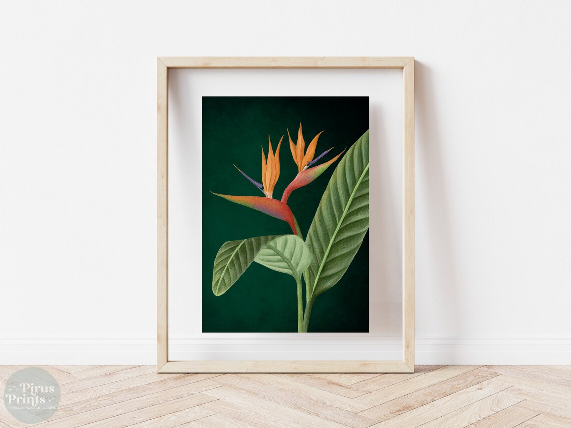 Emerald Green Bird Of Paradise Tropical Botanical Art Print - Image 4