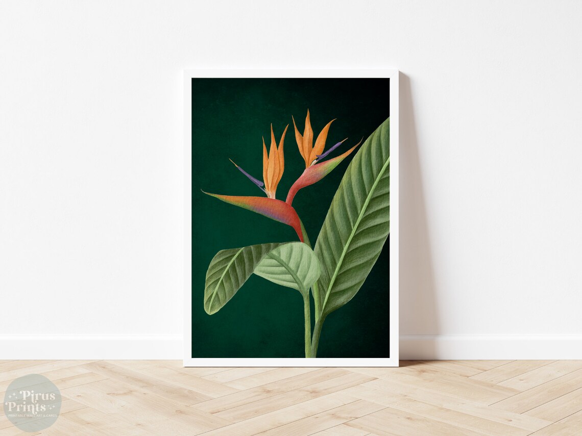 Emerald Green Bird Of Paradise Tropical Botanical Art Print - Image 3