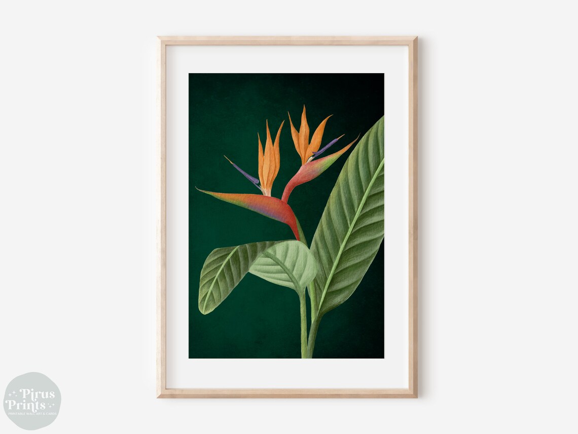 Emerald Green Bird Of Paradise Tropical Botanical Art Print - Image 2