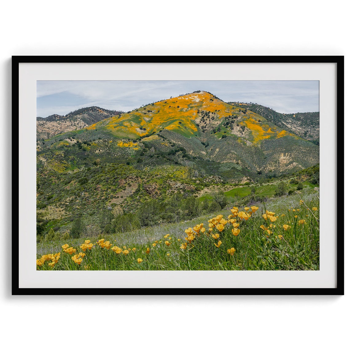 California Poppy Super Bloom Golden Hillside Wildflower Field Poster - Image 2