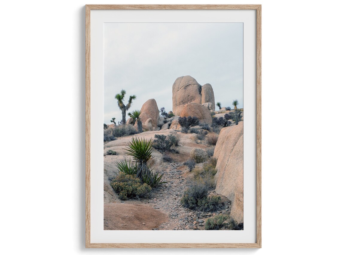 Joshua Tree Park Desert Art Print, California