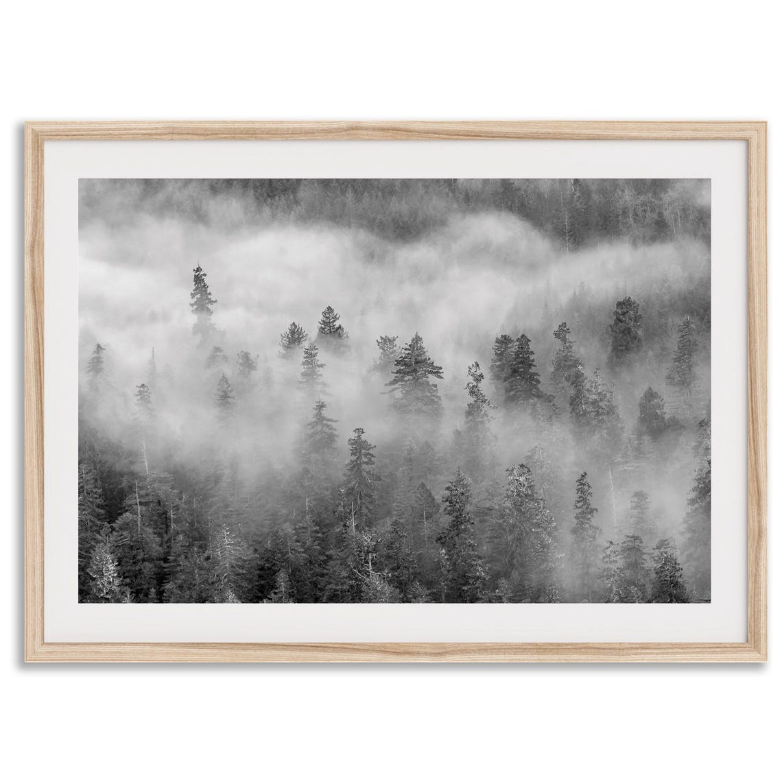 Black And White Foggy Pine Forest Misty Treetops Moody Nature Poster