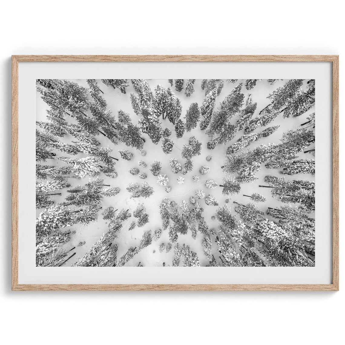 Snowy Forest Winter Nature Photography Art Print