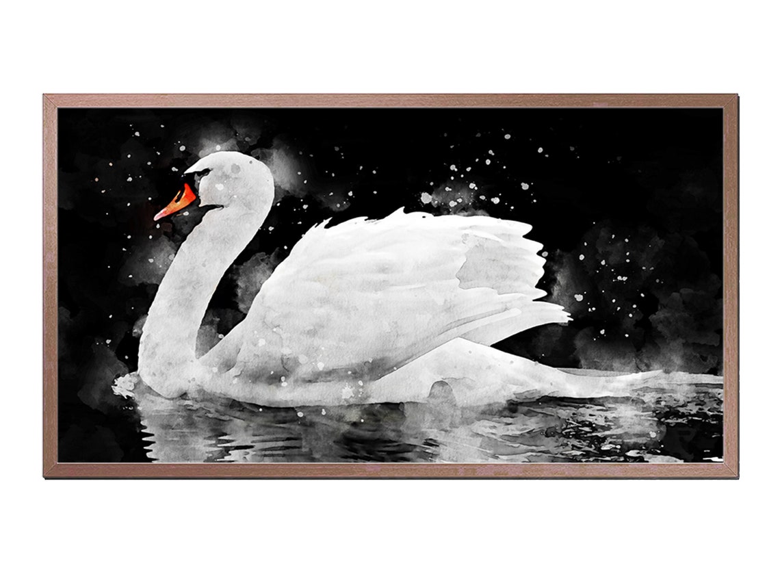 Mute Swan Watercolor Effect Art Print