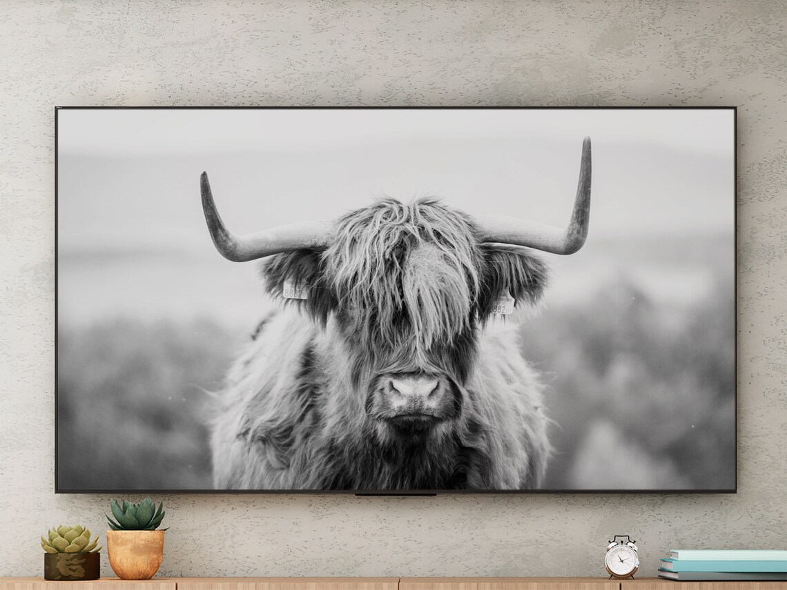 Highland Cow Photo Art for TV, Farm Animal Print - Image 3