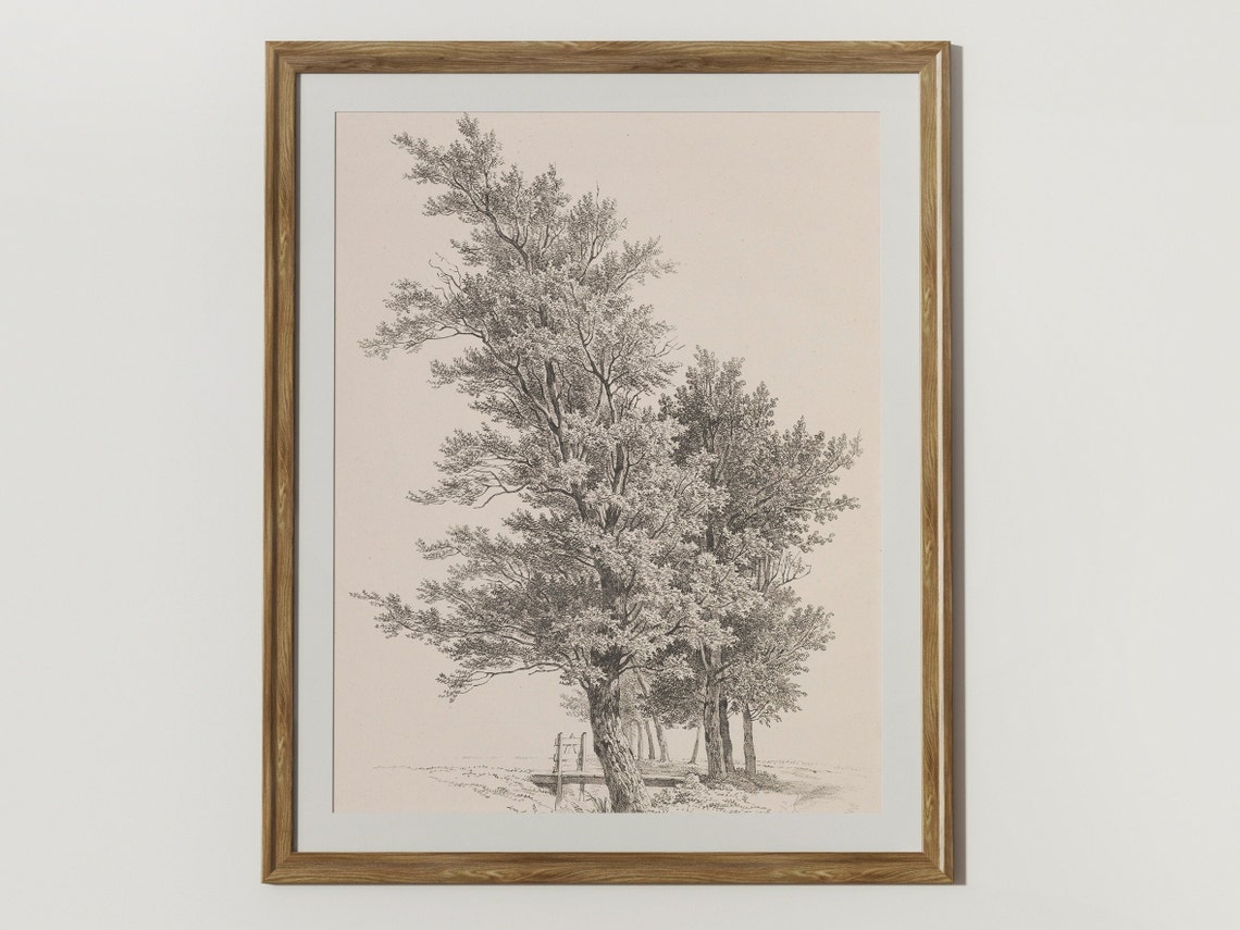 Sketches Of Trees Vintage Tree Drawings Rustic Home Decor Prints Wall Art - Image 2