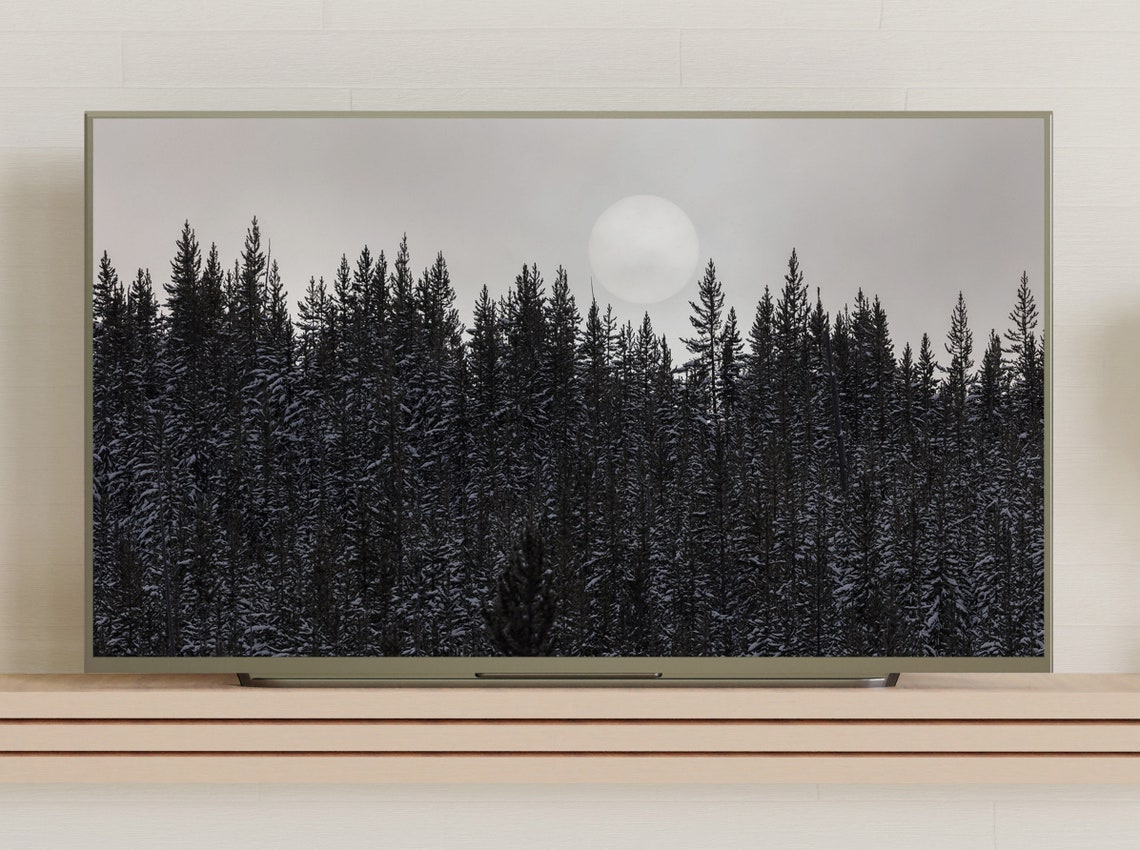 Foggy Sun Over Snowy Pine Forest Winter Landscape Photo Poster - Image 3